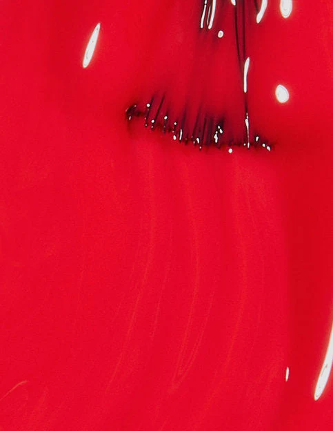 OPI Gel & Polish Duo:  L64 Cajun Shrimp - Image 2