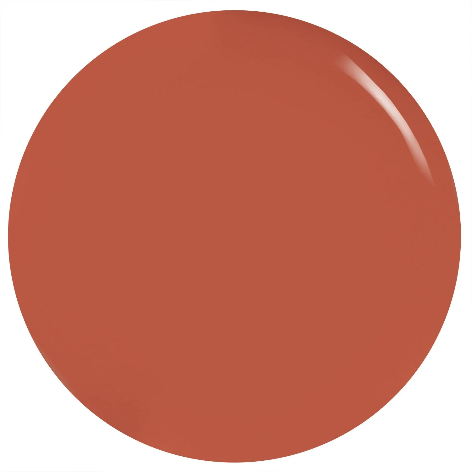 Sunkissed - Image 8