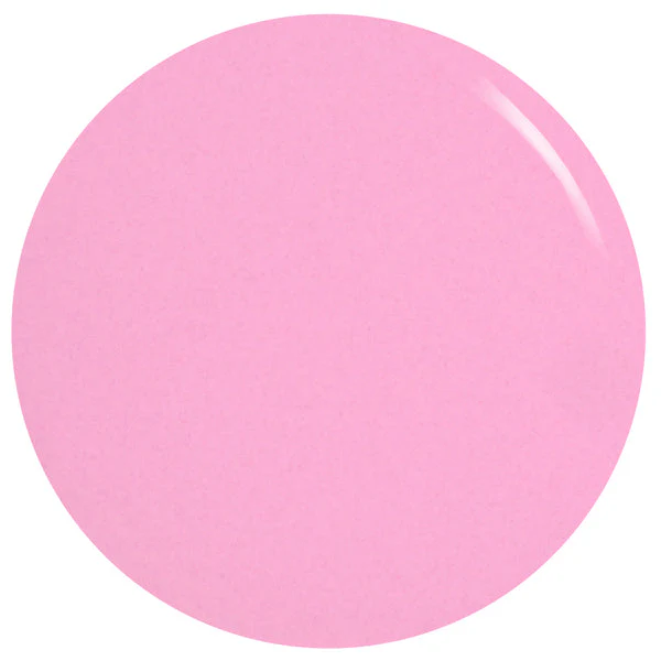 Taffy To Be Here - Image 4